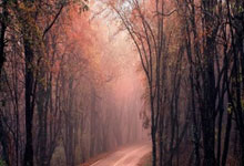 惊险绝伦！欧洲杯预选赛热血战役纷呈