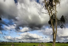 甘冈主场逆转摩雷伦斯，保级前景一片明朗