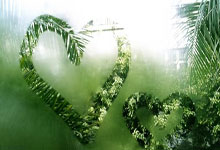 托特纳姆热刺抢分关键时刻，继续保持领先