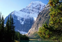 运动健儿开创新篇章精益求精